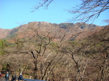 2011年11月23日滝子山 001.jpg